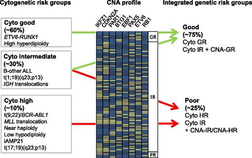 Integration of cytogenetic risk groups and CNA profile information. CNAs are depicted as yellow boxes. The profiles are ordered according to their associated risk (GR, good risk; IR, intermediate risk; PR, poor risk). For CNA data related to this figure, see supplemental Table 3 in the article by Moorman et al, which begins on page 1434. Figure kindly provided by A.V. Moorman, University of Newcastle.