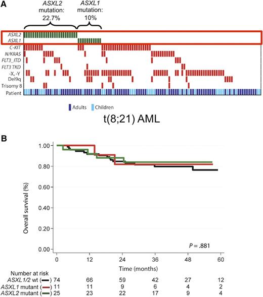 ASXL gene mutations in t(8;21) AML. (A) ASXL2 is the second-most commonly mutated gene in AML with t(8;21). The heatmap visualizes the spectrum of recurrent gene mutations in 110 adult and pediatric patients with AML and t(8;21). ASXL2 and ASXL1 mutations were mutually exclusive. The figure has been adapted from Figure 1 in the article by Micol et al that begins on page 1445. (B) ASXL2 gene mutations do not affect overall survival in t(8;21) AML. The Kaplan-Meier curves depict overall survival of patients with mutated ASXL1, mutated ASXL2, or wild-type ASXL1/ASXL2. No difference between the 3 groups was observed. The figure has been adapted from supplemental Figure 4 in the article by Micol et al that begins on page 1445.