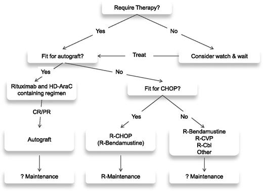 Figure 1. Current first-line therapy pathway for mantle cell lymphoma.