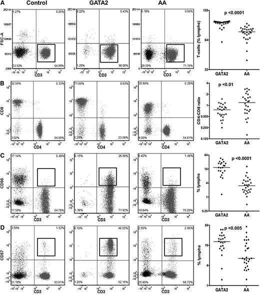 Figure 3. Comparison of T-cell subsets between GATA2 and AA patients. (A) GATA2 patients have relatively increased bone marrow T cells, (B) inverted CD4:CD8 ratios, (C) increased CD3+CD56+, and (D) increased CD3+CD57+ T-cell subsets compared with AA patients.