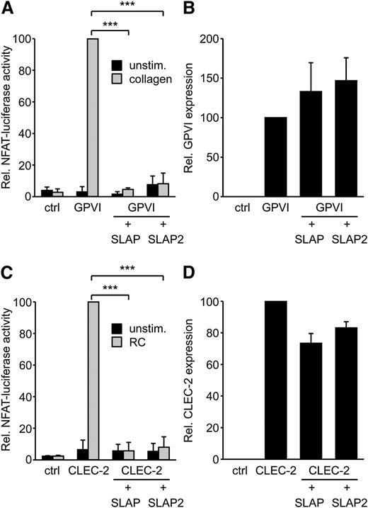 Figure 1. SLAP and SLAP2 inhibit GPVI/FcRγ and CLEC-2 signaling in the DT40 B-cell line model. (A) The DT40 B-cell line was transfected with a Ca2+/ mitogen-activated protein kinase-responsive NFAT/AP-1-luciferase reporter construct, a β-galactosidase construct, a GPVI, an FcRγ, a SLAP or SLAP2 expression construct, or empty vector control. Cells were either left unstimulated or stimulated with 5 μg/mL collagen, lysed, and assayed for luciferase and β-galactosidase. Luciferase data were normalized for β-galactosidase values. (B) The expression of GPVI was confirmed by flow cytometry with an anti-GPVI mAb. (C) The experiment was conducted as described in (A), with the exception that cells were transfected with a myc-tagged CLEC-2 expression construct and stimulated with 50 nM rhodocytin. (D) The experiment was performed as for (B), except that CLEC-2 was detected by an anti-myc mAb. Results in all panels are expressed as mean ± standard deviation (SD) (n = 3). ***P < .001. ctrl, control; RC, rhodocytin; unstim., unstimulated.