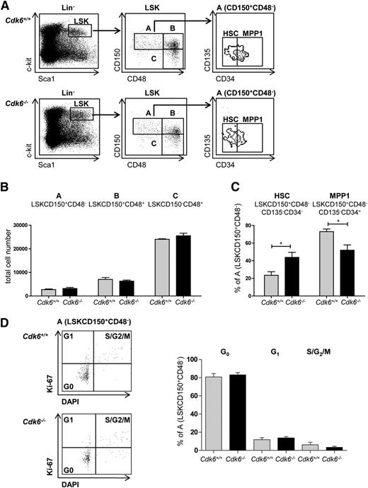 Figure 2. Increase in the most quiescent HSC population in Cdk6−/− mice. (A) LSK BM cells are subdivided into 3 populations based on CD150 and CD48 expression, LSKCD150+CD48− (A), LSKCD150+CD48+ (B), and LSKCD150−CD48+ (C). The LSKCD150+CD48− (A) population can be further subdivided into CD135−CD34− (HSC) and CD135−CD34+ (MPP1) subsets. Sets of representative FACS blots of Cdk6+/+ and Cdk6−/− BM cells are shown. (B) Total cell numbers of LSKCD150+CD48− (A), LSKCD150+CD48+ (B), CD150−CD48+ (C) in Cdk6+/+ and Cdk6−/− animals are shown (n = 3 per genotype). (C) Analysis of individual subpopulations of LSKCD150+CD48− (A) cells is depicted. Population A is further subdivided into HSC and MPP1 (n = 3 per genotype; *P < .05). (D) Cell-cycle distributions of fraction A cells were analyzed with DAPI and Ki-67 staining. One representative FACS blot per genotype is depicted (left). Summary of data (right; n = 6 per genotype).