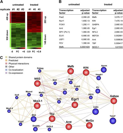Figure 5. Transcriptional profiling of poly(I:C) treated and untreated Cdk6−/− HSCs. (A) A summary of transcripts up- (red) or down- (green) regulated (fold-change >2) in fraction A cells that were FACS-purified from either untreated or poly(I:C)-treated Cdk6−/− and Cdk6+/+ mice (n = 3 per genotype). (B) Transcripts deregulated in either untreated or poly(I:C)-treated Cdk6−/− fraction A cells displayed promoter sequences significantly enriched in recognition sites for the indicated transcription factors compared with the respective Cdk6+/+ controls. (C) GeneMANIA-computed association network of the transcription factors identified via their deregulated target gene programs in poly(I:C)-treated Cdk6−/− fraction A cells vs Cdk6+/+ controls.