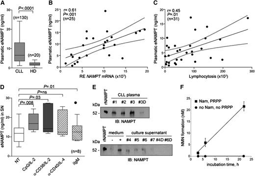 Figure 2. eNAMPT is present in CLL plasma and can be produced by activated CLL cells. (A) Box plot showing eNAMPT concentrations measured with a quantitative ELISA assay performed on plasma samples from CLL patients (n = 130) or HDs of a comparable age (n = 20). (B) Regression line showing a positive correlation between NAMPT mRNA levels (x-axis) and plasmatic eNAMPT (y-axis) in 25 CLL patients. Pearson coefficient (r) and the corresponding P value are noted. (C) Regression line showing a positive correlation between lymphocytosis (x-axis) and plasmatic eNAMPT (y-axis) in 31 CLL patients. Pearson coefficient (r) and the corresponding P value are noted. (D) ELISA assay showing eNAMPT concentrations in supernatants (SN) from cultures of purified CLL cells cultured with the indicated stimuli (n = 8, 24 hours). (E) The presence of eNAMPT was confirmed by western blot performed on concentrated (×10) albumin-depleted CLL plasma samples (#1-#3) and culture supernatants (#4-#7) from different CLL patients with high (>20 ng/mL, #4-#6) or low (<5 ng/mL, #7) eNAMPT levels, as detected by ELISA assay. The condition (–) and (+) medium indicates concentrated (×10) albumin-depleted RPMI +10% FCS alone (–) or with 20 ng of rNAMPT (+). #3D, #4D, #6D indicate NAMPT-deprived fractions by immunoprecipitation from #3 CLL plasma, or from supernatants #4 and #6. rNAMPT was loaded as control. (F) Time course of eNAMPT activity determined in the plasma of a prototype CLL patient, as described in supplemental Methods.