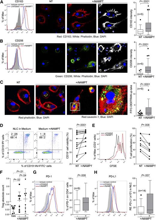 Figure 6. Exposure of NLCs to rNAMPT enhances their immunosuppressive function. NLCs (n = 6) were generated in the presence of rNAMPT before assessing expression of CD163 (A) and CD206 (B) by flow cytometry and confocal microscopy. Box plots show cumulative analyses of pixel intensity (a.u.) in at least 4 fields for the different samples. (C) Conventionally obtained NLCs (n = 8) were incubated (15 minutes, 37°C) with FITC-dextran (1 mg/mL in PBS + 5% FCS) with or without rNAMPT. Phagocytosis was confirmed by costaining with caveolin-1 (in red, last 2 panels) and confocal microscopy analysis. Original magnification ×63. (D) Dot plots showing Annexin-FITC (AV) and propidium iodide (PI) staining of CD19+ cells cultured with NLC derived with or without NAMPT for 14 days. The graph represents cumulative data (n = 14). (E) CFSE-labeled, preactivated (anti-CD3/IL-2, 24 hours) autologous PBMCs were cocultured with predifferentiated NLCs (3-5 days with or without rNAMPT). Graph shows cumulative data (n = 8). (F) FACS analysis of basal Treg (CD4+/CD25high/CD127low) expression and after 5 days of coculture (with or without rNAMPT) with autologous NLCs. (G) FACS analysis of PD-1 expression on CD4+ T cells after 5 days of coculture (with or without rNAMPT) with autologous NLCs. The gray histogram represents the isotype control. Box plot represent the cumulative data (n = 9) showing the percentage of PD-1 expression. (H) PD-L1 expression on NLCs treated with rNAMPT for 24 hours was checked by flow cytometry and confirmed by quantitative PCR (n = 14).