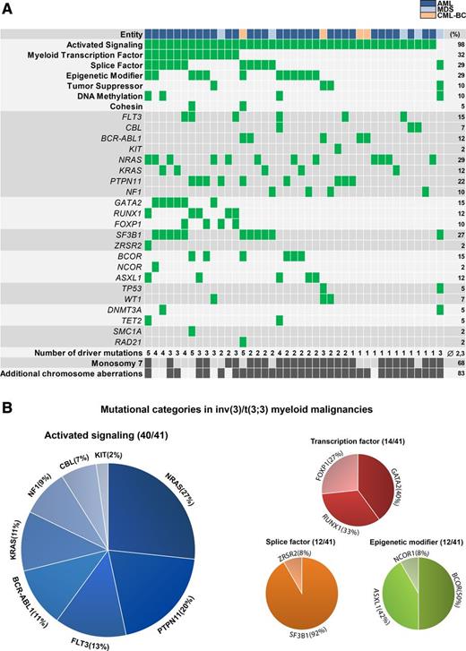 Figure 1. Mutational spectrum observed in inv(3)/t(3;3) myeloid malignancies. (A) Distribution of acquired mutations in 41 inv(3)/t(3;3) myeloid malignancies in conjunction with the aggregation of the mutations into mutational categories: mutant (green), positive for cytogenetic abnormality (dark gray), wild-type (gray). (B) Distribution of mutations within mutational categories present in >10% of the inv(3)/t(3;3) myeloid malignancies.