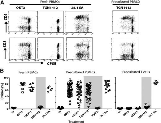 Figure 1. T-cell proliferation in response to anti-CD3 and anti-CD28 mAbs with fresh and precultured PBMCs. Freshly prepared PBMCs were CFSE-labeled and used in proliferation assays either immediately or after HD preculture for 48 hours. (A-B) PBMCs were incubated with OKT3 and UCHT1 (anti-CD3; 0.1 μg/mL), TGN1412 (5 μg/mL), TGN1412 F(ab′)2 (5 μg/mL; precultured PBMCs only), and CD28.1 superagonist (SA) (1 μg/mL) for 4 days. Cells were then labeled with anti-CD8-APC and anti-CD4-PE mAbs and analyzed by flow cytometry to determine proliferation by CFSE dilution. Results are shown as the percentage of cells having undergone one or more divisions. (A) Representative dot plots and (B) the responses from a panel of donors; n = 5 to 7 for fresh PBMCs and n = 30 for precultured PBMCs. (B, right panel) Responses of T cells isolated after HD preculture of PBMCs to the same mAbs.