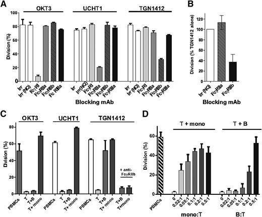 Figure 3. TGN1412 requires interaction with FcγRIIb for activity and this can be provided by B cells and monocytes. (A) T-cell proliferation in response to OKT3, UCHT1 and TGN1412 in the presence of anti-FcγRI, IIa, IIb, and IIIa mAb. PBMCs were incubated with stimulating mAb as described in Figure 1 in the absence or presence of anti-FcγRI, IIa, IIb, and IIIa blocking mAb (50 μg/mL). Error bars show mean and range of duplicate wells. (B) Effect of anti-FcγRIIa and IIb on response to TGN1412. Results are expressed as % of division with TGN1412 alone and error bars represent mean and SD from 7 donors. (C) Responsiveness of isolated T cells to TGN1412 is restored by B cells and monocytes. T cells, monocytes and B cells were isolated from PBMCs after 48 h HD preculture. T cells were incubated with OKT3, UCHT1 and TGN1412 either alone, or in coculture with B cells or monocytes at a monocyte or B cell:T cell ratio of 0.3:1; TGN1412 responses were determined in the absence or presence of anti-FcγRIIb blocking mAb (50 μg/mL). Results show mean and range of 2 donors. (D) B cells and monocytes were added to isolated T cells at mono or B:T cell ratios from 0.02:1 to 0.5:1. Results show mean and range from 2 donors.