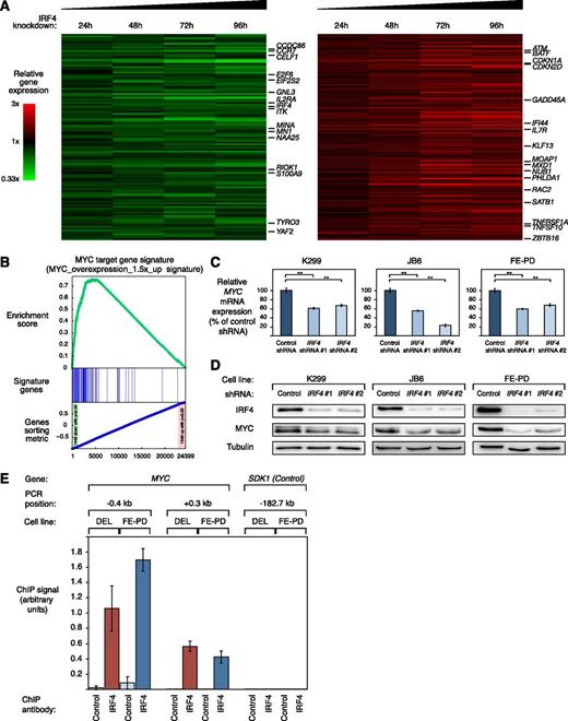 Figure 3. IRF4 downregulation suppresses the gene expression network of MYC in ALCL. (A) Gene expression profiling after IRF4 knockdown in K299, DEL, and FE-PD cells. Changes of gene expression were profiled at the indicated time points after induction of IRF4 shRNA #1. Gene expression changes are depicted according to the color scale shown. Genes that are involved in critical biological processes are highlighted. (B) Gene set enrichment analysis of a previously described MYC gene expression signature. The MYC signature is significantly enriched with genes that are downregulated after IRF4 knockdown. (C) IRF4 shRNA #1 and #2 downregulate MYC mRNA in K299, JB6, and FE-PD cells 48 hours after shRNA induction as measured by quantitative PCR. MYC mRNA levels were normalized to expression of GAPDH. Error bars indicate the standard deviation. (D) IRF4 shRNA #1 and #2 downregulate MYC protein in K299, JB6, and FE-PD cells 48 hours after shRNA induction as measured by western blotting. (E) Chromatin immunoprecipitation quantitative PCR analysis of IRF4 binding in the MYC promoter and at a control locus in DEL (ALK+) and FE-PD (ALK−) cells. The control locus is a region on chromosome 7, used as a negative control for IRF4 binding, due to the lack of observable IRF4 binding in previous studies.24,25 Error bars depict standard error of the mean. **P < .01.