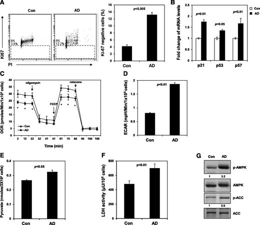 Figure 2. Inhibition of Ptpmt1 maintains stem cell quiescence by reprogramming cellular metabolism and activation of AMPK. (A) Sorted LSK cells were cultured as described in Figure 1C. After 7 days, cells were collected, fixed, and stained with fluorescein isothiocyanate –labeled anti-Ki67 antibody and propidium iodide (PI). Percentage of Ki67-negative cells (quiescent cells) was quantified by FACS. (B) Messenger (m)RNA levels of p21, p57, and p53 in cultured LSK cells were determined by quantitative reverse-transcription polymerase chain reaction. (C-D) Sorted LSK cells were treated with AD or vehicle as in panel A. Oxygen consumption rate (OCR) (C) and extracellular acidification rates (ECAR) (D) were measured. Experiments were repeated 3 times, and similar results were obtained in each. Representative results from 1 experiment are shown; *P < .05. (E) Lin− cells were cultured in the presence of AD (250 nM) or vehicle for 24 hours. Intracellular pyruvate concentration was determined using the pyruvate assay kit (Cayman Chemical Company, Ann Arbor, MI). (F) Intracellular lactate dehydrogenase (LDH) activity was determined using the LDH assay kit (Cayman Chemical Company). (G) Sorted LSK cells were treated with AD or vehicle as in panel A. Whole-cell lysates were prepared and examined by western blot analysis with anti-phospho-AMPK (Thr172) and anti-phospho-ACC (Ser79) antibodies. Blots were stripped and reprobed with anti-AMPK and anti-ACC antibodies. Relative phospho- (p-)AMPK and p-ACC levels normalized against pan protein levels are shown. Representative results from 3 independent experiments are shown. ACC, acetyl-CoA carboxylase.