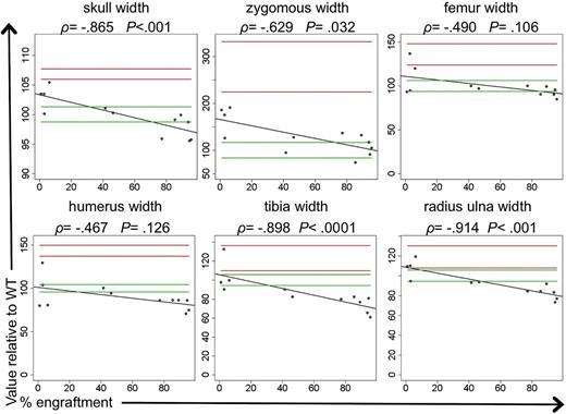 Figure 4. Correlation between donor engraftment and bone radiographic measurements. Relationship between percentage of donor engraftment and cranium and long bones measurements. For MPS I nBMT mice (n = 13), the percentage of donor engraftment (x-axis, % human CD45.1+ cells) was plotted against the ratio of bone measurements with respect to that in WT mice. For all graphics, the linear regression line, the ρ value, and the statistical likelihood that there is a correlation between the 2 variables are shown. Green lines indicated WT values, and red lines MPS I untreated values.