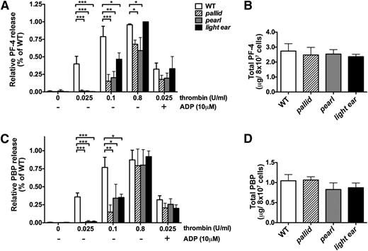 Figure 2. Induced secretion of α granule contents from HPS model platelets is impaired at low doses of thrombin. Washed platelets (8 × 107) isolated from WT, pallid, pearl, or light ear mice were stimulated with the indicated concentrations of thrombin in 100 μL of phosphate-buffered saline/0.1% bovine serum albumin for 10 minutes in the absence or presence of 10 μM adenosine 5′-diphosphate (ADP) as indicated, and then supernatants were collected and analyzed by enzyme-linked immunosorbent assay for PF-4 (A) or PBP (C). Untreated platelets (8 × 107) were lysed in 100 μL of lysis buffer, and lysates were analyzed directly for content of PF-4 (B) or PBP (D). In panels A,C, the percentage of PF-4 and PBP in releasates relative to untreated cell lysates for each sample was plotted relative to the highest percentage of release observed in a single assay for WT platelets (range: 50% to 84% for WT). Data represent mean ± standard deviation from at least 3 independent experiments. *P < .05; **P < .01; ***P < .005.