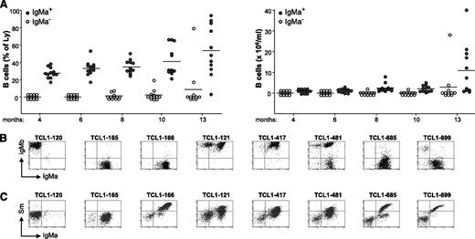Figure 2. Leukemia development in Eμ-TCL1/IgSm transgenic mice. (A) Plots depict the percentage and absolute number of IgMa+ (filled circles) and IgMa− (empty circles) B cells in the peripheral blood of Eμ-TCL1/IgSm transgenic mice (n = 12) at the indicated time points. One mouse died of leukemia at 11 months of age. (B) Flow cytometry analysis of surface IgMa and IgMb expression in representative leukemias. Analysis was performed on CD19+ cells. (C) Flow cytometry analysis of leukemic cells stained with biotinylated Sm and anti-IgMa. Analysis was performed on the lymphocyte gate.