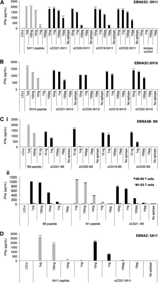 Figure 2. LCLs present antigen targeted by AgAb treatment to CD4+ T cells. Multiple T-cell recognition assays were performed using LCLs pulsed with various amounts of αCD-21, -20, -19, or -22 antibodies fused with different EBV epitopes, including (A) EBNA3C 5H11, (B) EBNA3C 3H10, (Ci-Cii) EBNA3B B9, and (D) EBNA2 5A11 (αCD21 antibodies only for EBNA2 epitope). LCLs, HLA-matched with EBV-specific CD4+ T-cell clones, were incubated for 24 hours either with appropriate peptide controls (100 pg, 1 ng, 10 ng, 100 ng, and 1 μg, corresponding to 500 pg/mL, 5 ng/mL, 50 ng/mL, 500 ng/mL, and 5 μg/mL, respectively; gray bars in A,B,Ci,D), medium only, or with antibodies containing epitopes (10 pg, 100 pg, 1 ng, and 10 ng, corresponding to 50 pg/mL, 500 pg/mL, 5 ng/mL, and 50 ng/mL, respectively), or containing no epitopes (10 ng, corresponding to 50 ng/mL). Panel A also includes the results of a T-cell assay performed with the anti–CD21-5H11 AgAb isotype control, whereas panel Cii shows an experiment performed with a matched T-cell clone that recognizes the influenza epitope M1 (gray bars in Cii). EBV epitope–specific CD4+ T cells were incubated with these target cells at an E:T cell ratio of 2:1. T-cell activity was determined after 18 hours by measuring IFN-γ secretion by ELISA. Results are given in picograms/milliliter. For each chart, data represent triplicate values and error bars indicate standard deviations. One representative experiment of at least 3 is shown.