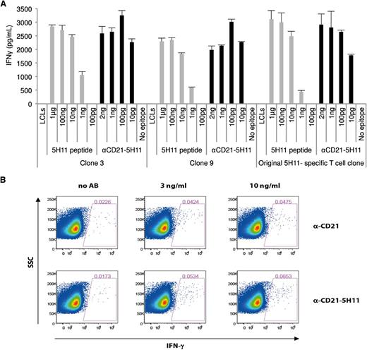 Figure 7. AgAb can stimulate the ex vivo activation and expansion of EBV-specific memory T-cell clones from an EBV-positive donor. (A) PBMCs were obtained from an EBV-positive donor who expressed the restricting HLA allele of the T-cell clone EBNA3C 5H11. These cells were subjected to 7 consecutive rounds of stimulation with 1.3 ng of αCD21 fused with 5H11. We obtained 10 T-cell clones by limiting dilution. A T-cell recognition assay was then performed with 4 of these clones using LCLs pulsed with the αCD21-5H11 AgAb. The results of assays performed in triplicate with 2 independent clones are shown here with obtained means and standard deviations. (B) Intracellular IFN-γ staining of PBMCs from the same donor. Freshly isolated PBMCs were incubated with the indicated concentrations of the 963-bp CD21-EBNA3C AgAb or α-CD21 control antibody. The percentage of IFN-γ positive CD3+CD4+ T cells was determined by intracellular cytokine staining 1 day later.