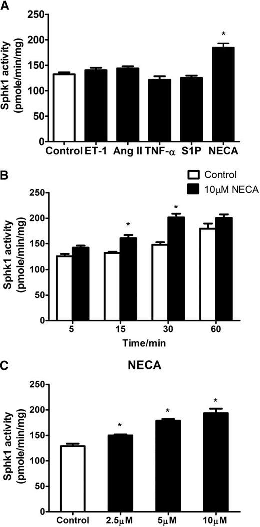 Figure 1. Test of potential molecules capable of inducing erythrocyte SphK1 activity. (A) SphK1 activity in cultured primary erythrocytes from WT mice treated with endothelin-1 (100 nM), angiotensin II (100 nM), tumor necrosis factor-α (50 ng/mL), sphingosine 1-phosphate (100 nM), and NECA (10 μM). (B) Induction of erythrocyte SphK1 activity by NECA in a time-dependent manner. (C) Dose-dependent erythrocyte SphK1 activation by NECA treatment of 30 min. Values shown represent the mean ± SEM (n = 3∼5 for each group). *P < .05 NECA vs control.