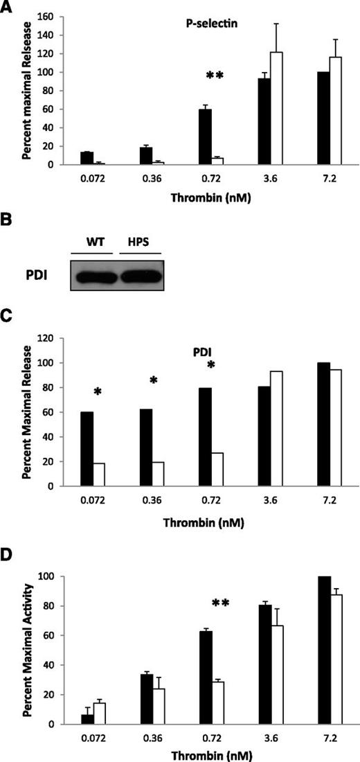 Figure 5. Hermansky-Pudlak syndrome in humans: impaired α granules and PDI secretion in a patient with Hermansky-Pudlak syndrome. Comparing normal human platelets and human Hermansky-Pudlak syndrome platelets, thrombin-induced granule exocytosis was studied in vitro to characterize α granule release, thiol isomerase secretion, and PDI antigen secretion. Platelet activation was performed with indicated amounts of thrombin. (A) P-selectin (α granules) expression by flow cytometry in platelets from a Hermansky-Pudlak syndrome patient and from a normal subject. (B) PDI antigen in lysate of resting normal and Hermansky-Pudlak syndrome platelets. (C) PDI antigen secretion monitored by western blot analysis of the releasate of thrombin-activated normal and Hermansky-Pudlak syndrome platelets. (D) Thiol isomerase activity monitored by the reduction of a di-E-GSSG as a substrate. Normal platelets, closed bars; Hermansky-Pudlak syndrome platelets, open bars. N = 2 experiments; mean ± SD; *P = .02, **P < .01.
