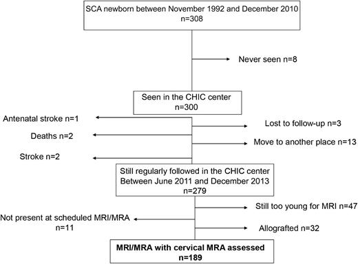 Figure 1. Characteristics of the newborn Créteil studied cohort.