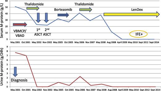 Figure 2. A patient with primary resistance to alkylating agents and to bortezomib. VBMCP/VBAD, vincristine, carmustine, cyclophosphamide, melphalan, prednisone alternated with vincristine, carmustine, doxorubicin, dexamethasone.