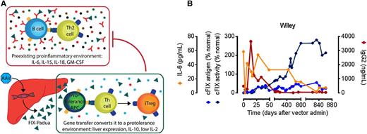 AAV liver gene therapy eradicates FIX inhibitors in a hemophilia B dog. (A) Expression of hepatocyte-restricted FIX Padua (green triangle) leads to a protolerance cytokine profile including IL-10 secretion (blue circles), which may modify the preexisting inflammatory environment including high IL-6 levels, facilitating tolerance induction of anti-FIX antibodies (red). (B) Time course of preexisting inhibitor eradication following AAV liver gene therapy in a hemophilia B dog (Wiley). The increased specific activity of FIX Padua results in high levels of FIX activity, with an activity-to-antigen ratio of ∼8. Adapted from Figures 2 and 3 in the article by Crudele et al beginning on page 1553.