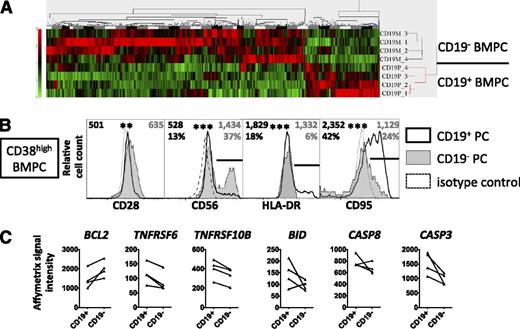 Figure 3. The phenotype of CD19− BMPC indicates terminal PC differentiation and prosurvival capacity. (A) CD19+ and CD19− BMPC were isolated from 4 donors using a combined magnetic-activated cell-sorting/FACS protocol (supplemental Figure 4) and were subjected to global gene expression profiling. A heat map resulting from unsupervised clustering of data of 859 significantly differentially expressed probe sets reflecting 689 genes (supplemental Table IIIA) according to high-performance chip data analysis (HPCDA) after Bonferroni correction is shown. (B) CD19+ and CD19− BMPC (CD38highCD3−CD14−DAPI−) were analyzed by flow cytometry for the expression of CD28, CD56, HLA-DR, or CD95. Histograms representative of 8 (CD28), 14 (CD56), 18 (HLA-DR), or 19 (CD95) donors are shown. Numbers represent median values of the geometric mean fluorescence intensity values of all donors analyzed, frequencies represent median values of frequencies of PC expressing a marker gated as illustrated by the black bars in the histogram plots, where applicable (gray, CD19− BMPC; black CD19+ BMPC). Both median fluorescence intensity and frequency data were compared using the Wilcoxon test (**P < .01; ***P < .001). (C) Affymetrix signal intensity data for selected molecules involved in apoptosis regulation not contained in the list of differentially expressed genes as delivered by HPCDA, that is, BCL2 (B-cell lymphoma 2, probeset 203685_at), TNFRSF6 (CD95), TNFRSF10B (tumor necrosis factor-related apoptosis-inducing ligand receptor 2), BID (BH3 interacting-domain death agonist), and for caspases 8 and 3 (supplemental Table IIIB), were extracted from global gene expression analysis of CD19+ and CD19− BMPC. A distinct probeset for BCL2 (203685_at) was identified as differentially expressed by HPCDA. Student t test P values (BCL2, 0.05; TNFRSF6, 0.01; TNFRSF10B, 0.10; BID, 0.002; CASP8, 5.3 × 10−5; and CASP3, 1.1 × 10−5, were not considered significant according to the significance level of 0.05 corrected for multiple comparisons in the overall analysis (P = 2.29 × 10−8).