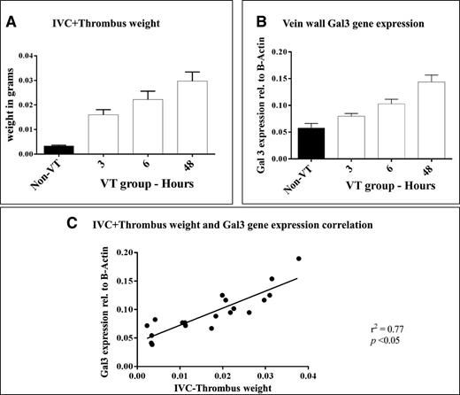 Figure 3. Gal3 correlation with IVC+thrombus weights: time course. (A) IVC or IVC+thrombus weight 3 hours, 6 hours, or 48 hours (n = 5 per time point) postligation, and in non-VT mice (n = 5). (B) Expression of gal3 in the vein wall of non-VT and VT mice 3 hours, 6 hours, or 48 hours postligation. (C) Correlation between gal3 gene expression in the IVC and IVC+thrombus weight. VT, venous thrombosis; IVC, inferior vena cava.