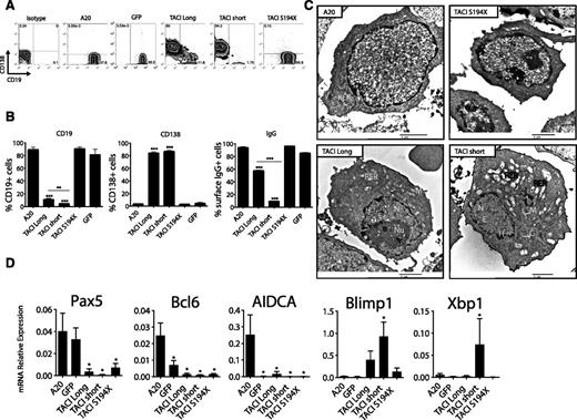 Figure 2. TACI signaling in resting cells leads to a plasma-cell phenotype through plasma-cell gene program activation. (A) Representative FACS results showing CD19 and CD138 surface expression on resting A20, A20 GFP, and A20 TACI-expressing cells. Numbers indicate percentage of positive cells. (B) Flow cytometry analysis of surface CD19, CD138, and IgG on resting cells. Error bars represent standard deviation compared to A20 parental cell line, GFP, and S194X TACI-expressing cells (Mann-Whitney U test; **P < .01; ***P < .0001). Data summarize at least 3 independent experiments. (C) Resting A20 and A20 TACI-transduced cells were analyzed by transmission electron microscopy; >200 cells were assessed. Bar represents 2 μm. E, euchromatin; G, golgi; H, heterochromatin; M, mitochondria; N, nucleus; Nu, nucleolus; RER, rough endoplasmic reticulum. (D) qRT-PCR of Bcl6, Prdm1, Pax5, Xbp1, and Aicda mRNA expression levels. Results are normalized to Actb mRNA and represented as relative expression. Data are from 5 independent experiments; error bars represent standard error of the mean. *P < .05, 2-tailed unpaired Student t test.