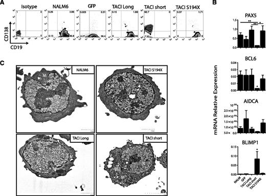 Figure 5. TACI short isoform signaling promotes plasma-cell surface marker expression, plasma-cell transcriptional program, and plasma-cell morphology in human pre-B cells. (A) Representative flow cytometry dot-plots of CD19 and CD138 surface expression on resting NALM6, NALM6 GFP, and NALM6 TACI-expressing cells. Numbers indicate percentage of positive cells. (B) qRT-PCR of BCL6, PRDM1, PAX5, XBP1, and AICDA mRNAs from NALM6-transduced cells. Results are normalized to hypoxanthine-guanine phosphoribosyltransferase (HPRT1) mRNA and represented as relative expression. Data are from 5 independent experiments; error bars represent standard error of the mean. *P < .05; **P < .01 2-tailed unpaired Student t test. (C) Resting NALM6 and NALM6 TACI transfectants analyzed by transmission electron microscopy; >200 cells were assessed for each condition. Bar represents 2 μm; 5 μm for TACI short. E, euchromatin; H, heterochromatin; M, mitochondria; N, nucleus; RER, rough endoplasmic reticulum; V, vacuoles.