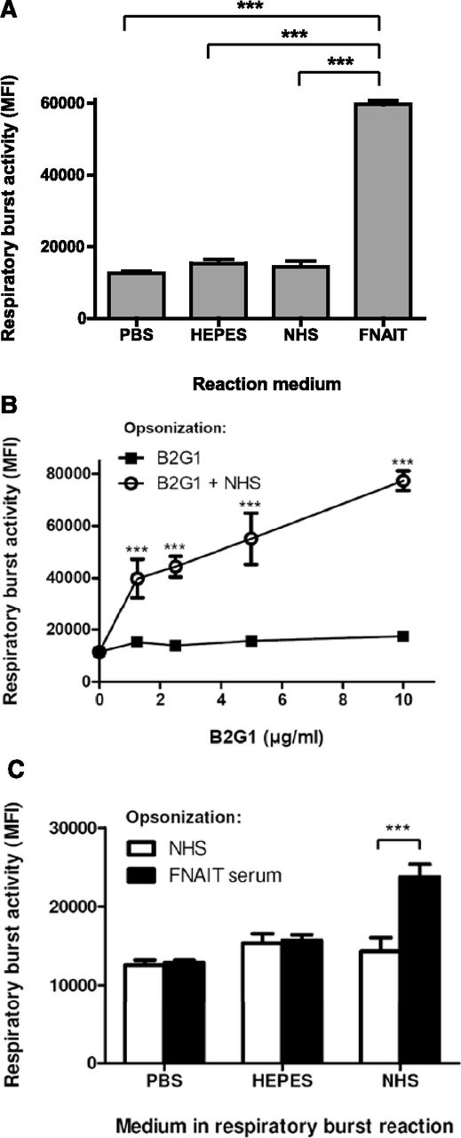 Figure 1. Normal human sera contain a factor required for phagocyte responses toward IgG-opsonized platelets. (A) Respiratory burst activity of PMN toward platelets in NHS or anti-HPA-1a antibody-containing FNAIT sera or saline solutions, analyzed by the conversion of dihydrorhodamine-1,2,3 to fluorescent rhodamine-1,2,3, measured by fluorescence-activated cell sorter. (B-C) PMN respiratory burst activity toward IgG-opsonized platelets was only observed in NHS. (B) Platelets were opsonized with the human monoclonal anti-HPA-1a IgG1 antibody; B2G1, subsequently washed, was resuspended in either PBS, HEPES, or NHS together with PMN to initiate phagocyte responses. (C) Platelets were preincubated with either NHS (unopsonized) or opsonized with FNAIT serum, washed with PBS, and resuspended in the indicated media before addition to PMN, and then the respiratory burst was measured after 45 minutes at 37°C. Data are representative of 3 independent experiments, showing mean ± standard deviation. Statistical comparisons were performed as follows: (A) 1-way analysis of variance (ANOVA) with Tukey’s posttest; (B-C) 2-way ANOVA with Bonferroni posttest. ***P ≤ .001.