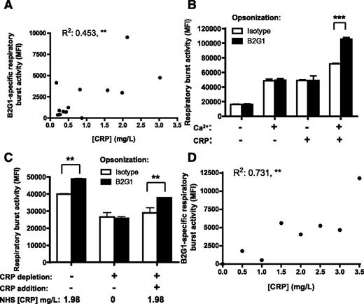 Figure 3. CRP enhances phagocyte responses of PMN toward IgG-opsonized platelets. (A) B2G1-specific respiratory burst activity of 14 NHS correlates significantly with the CRP concentrations in the sera. (B) Both CRP and calcium were required to induce IgG-specific respiratory burst. B2G1-opsonized platelets were incubated in HEPES supplemented with or without calcium and in the presence or absence of CRP, before addition of PMN to measure the respratory burst. (C) Depletion from NHS with phosphocholine-coated beads neutralized its ability to enhance IgG1-mediated respiratory burst toward B2G1-opsonized platelets, but resupplementing CRP restored this capacity. (D) CRP addition to NHS with low CRP (0.07 mg/L) rendered the serum capable of inducing IgG-specific respiratory burst toward B2G1-opsonized platelets that correlated significantly with the amount of CRP added. Data are representative of 3 independent experiments, showing mean ± standard deviation. Statistical comparisons were performed as follows: (A,D) Pearson correlation; (B-C) 2-way ANOVA with Bonferroni posttest. *P ≤ .05; **P ≤ .01; ***P ≤ .001.