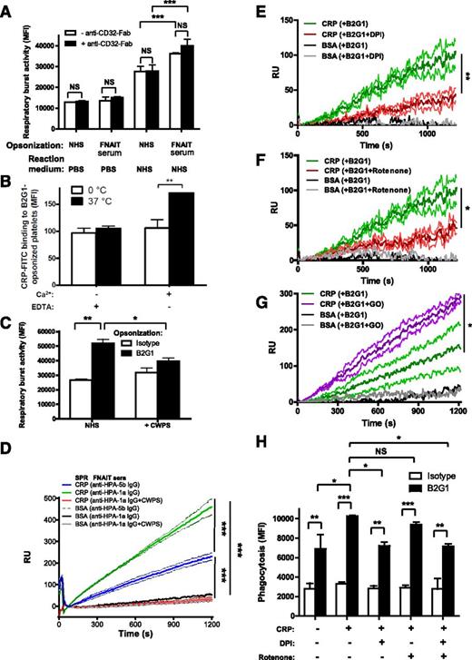 Figure 4. Cellular activation exposes phoshorylcholine after oxidation, enabling CRP binding and phagocytosis. (A) Platelet FcγRIIa was not involved in the opsonization of platelets with FNAIT serum. Platelets were pretreated with blocking anti-CD32-Fab antibody (clone 7.3), opsonized with anti-HPA-1a–containing FNAIT sera (NHS as negative control), washed, and resuspended in PBS (negative control) or NHS. Thereafter, the platelets were added to PMN and the respiratory burst was measured. (B) CRP fluorescein isothiocyanate bound directly to B2G1-opsonized platelets, and this process required both calcium and platelet activity at 37°C, as measured by flow cytometry. (C) Neutralization of CRP with pneumococcal CWPS in NHS disabled CRP induction of the respiratory burst toward B2G1-opsonized platelets. (D) Binding of FNAIT serum-opsonized platelets (HPA-1a+/HPA-5b−) to CRP was further investigated by cSPR imaging, with CRP spotted to 3 sensor surface spots and 3 bovine serum albumin control spots. A specific response was observed for platelets to the CRP spots, which was enhanced if the platelets were opsonized with anti-HPA-1a antibodies from FNAIT serum (also compared with platelets incubated with anti-HPA-5b antibodies from FNAIT serum), but blocked by CWPS, indicating that platelet phosphorylcholine is the ligand for CRP that is exposed by antibody binding. (E) Binding of platelets to CRP was inhibited by DPI, a broad spectrum oxidation inhibitor including NADPH oxidase, as well as by Rotenone, which more specifically inhibits the mitochondrial electron transport chain (F). Conversely, stimulation of platelet oxidation by glucose and glucose oxidase enhanced platelet binding to CRP (G). Each line in D-G represents the average sensorgrams and standard deviation from 3 spots monitored simultaneously in real time. Statistical comparisons were performed as follows: (H) CRP enhancement of IgG-mediated phagocytosis of platelets by neutrophils was inhibited by DPI and not by Rotenone. Data are representative of 3 independent experiments, showing mean ± standard deviation. (A,C,D,H) 1-way ANOVA with Tukey’s posttest; (B) 2-way ANOVA with Bonferroni posttest; (E-G) 1-tailed paired t test. *P ≤ .05; **P ≤ .01; ***P ≤ .001.