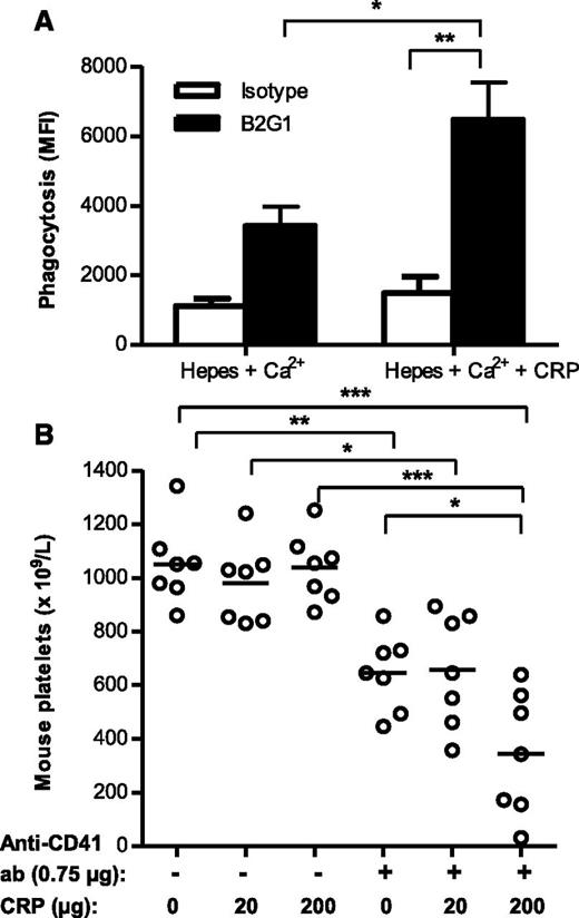 Figure 6. CRP enhances antibody-mediated platelet destruction in vitro and in vivo. (A) Phagocytosis of pHrodo-labeled platelets opsonized with either isotype control or B2G1 antibody for 20 minutes at 37°C for CD16+ monocytes. (B) BALB/c mice developed thrombocytopenia 16 hours after intraperitoneal injection of the platelet- and megakaryocyte-specific rat anti-mouse CD41 IgG at 0.75 µg. Coinjection of 200 µg CRP with 0.75 µg rat anti-mouse CD41 IgG resulted in aggravated thrombocytopenia after 16 hours, whereas 200 µg CRP alone had no effect. Data are representative of 3 independent experiments; each data symbol represents 1 mouse (7 per group). Statistical comparisons were performed by 1-way ANOVA with Tukey’s posttest. *P ≤ .05; **P ≤ .01; ***P ≤ .001.