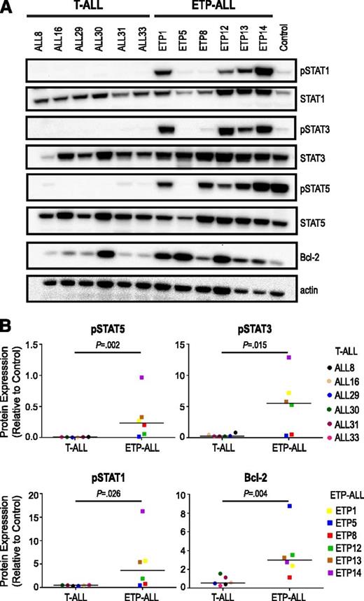 Figure 1. Increased JAK/STAT activation in ETP-ALL relative to non-ETP T-ALL. (A) Levels of phosphophorylated (p) and total signaling pathway proteins in the spleens of non-ETP T-ALL xenograft models (ALL8, ALL16, ALL29, ALL30, ALL31, ALL33) and ETP-ALL xenograft models (ETP1, ETP5, ETP8, ETP12, ETP13, ETP14) by immunoblot. A CRLF2-overexpressing B-ALL xenograft with high levels of JAK/STAT pathway proteins was used as a positive control (Control). (B) Comparison of levels of pSTATs and Bcl-2 in non-ETP T-ALL and ETP-ALL xenografts. Protein levels by immunoblot of 3 replicates were quantitated relative to positive control (Control), graphed as means, and analyzed using the nonparametric Mann-Whitney test.