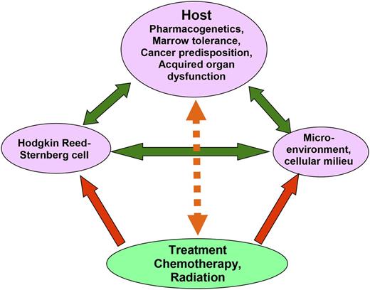 Figure 1. Complex interaction affecting risk of treatment failure for patients with newly diagnosed Hodgkin lymphoma. Green arrows show how the malignant Hodgkin Reed-Sternberg cells interact with preexisting host factors, including cancer predisposition, pharmacogenetics, and acquired organ dysfunction, each of which may enhance malignant cell survival or interfere with effective treatment delivery. In addition, the Hodgkin Reed-Sternberg cells manipulate cells in their microenvironment, inducing release of growth-enhancing and immune-suppressing cytokines. Treatment (red arrows) reduces the risk of treatment failure by exerting direct cytotoxicity on the Hodgkin Reed-Sternberg cells, by interrupting the stimulation of tumor cell growth encouraged by microenvironmental cells, and by restoring an effective immune response. Treatment effectiveness is modulated (orange arrow) by host factors, with some (eg, good performance status, young age) increasing host tolerance for higher dose treatment and therefore effectiveness, and others (eg, organ dysfunction, coincident HIV infection) diminishing treatment effectiveness.