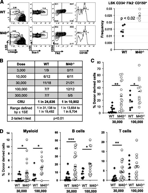 Figure 1. M40 deficiency leads to an expansion of phenotypic and functional HSCs. (A) Frequency of LT-HSCs in WT and M40−/− mice as determined by flow cytometry. LT-HSC is defined as CD34−Flk2−CD150+LSK, and representative plots and gating strategy are shown. Each symbol represents an individual mouse. P value was determined by the 2-tailed Student t test. (B) Functional HSC frequency in WT and M40−/− mice as determined by limiting dilution BMT. Percentage of donor-derived cells in peripheral blood 16 weeks after BMT were analyzed by flow cytometry. Data from 3 to 5 independent experiments were combined, and reconstitution frequency and statistical analysis were calculated using L-Calc software. The results are presented as number of positively engrafted mice vs total number of mice analyzed for the indicated doses. Positive engraftment was defined as >1% donor-derived cells in the peripheral blood. (C-D) Donor chimerism in total leukocytes (C) and different lineages (D) in peripheral blood of the recipient mice transplanted with 3 × 104 and 1 × 105 donor cells along with competitors are shown. Each symbol represents an individual mouse; horizontal lines indicate the mean value in each group. P values were calculated using the 2-tailed Student t test. *P < .05; **P < .01; ***P < .005. 1SE, 1 standard deviation; CRU, competitive repopulating unit.