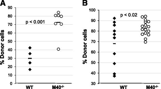 Figure 2. Purified M40−/− HSCs exhibit enhanced repopulation and self-renewal ability. (A) Fifty CD34−CD150+CD48−LSK cells from WT and M40−/− mice were mixed with 0.4 × 106 Sca1-depleted competitor BM cells and transplanted. Donor percent reconstitutions in the blood 16 weeks post-BMT are shown. (B) At the end of primary transplant, 3000 donor-derived LSK cells from each primary recipient were sorted and individually transplanted into 1 to 4 secondary recipients. Donor chimerisms in peripheral blood of secondary recipient mice are shown. Each symbol represents an individual mouse; horizontal lines are the mean values in each group. P values were calculated using the 2-tailed Student t test.