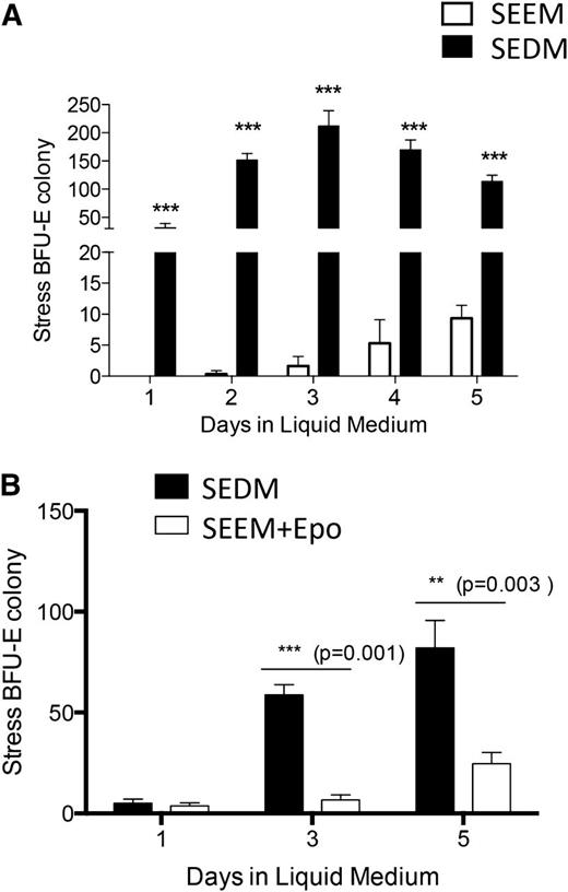 Figure 2. Epo and hypoxia promote the transition from expanding stress erythroid to progenitors capable of differentiation. (A) Unfractionated bone marrow cells were plated in IMDM supplemented with BMP4 + Shh + GDF15 + SCF + Epo and cultured at 2%O2 (2% O2 + Epo or SEDM) or media lacking Epo cultured at 20% O2 (20% O2 − Epo or SEEM). After 5 days of culture, 5 × 104 cells were plated in methylcellulose media containing BMP4 + SCF + Epo at 2% O2 for 5 days. Stress BFU-Es were scored after benzidine staining. (B) Unfractionated bone marrow cells were cultured in SEEM for 5 days and then switched into SEEM supplemented with Epo and cultured at 20% O2 or with Epo and cultured at 2% O2 for the indicated days. On the indicated days, 5 × 104 cells were plated in methylcellulose media supplemented with Epo, and stress BFU-Es were scored by benzidine staining after 5 days of culture. The data represent at least 2 independent experiments.