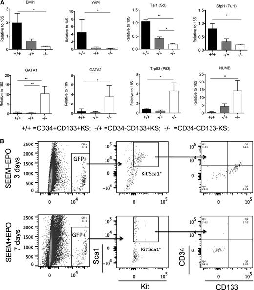 Figure 5. In vivo–isolated stress erythroid progenitors are similar to in vitro–expanded stress erythroid progenitors. (A) CD34+CD133+KS, CD34CD133+KS, and CD34−CD133−KS cells were sorted from the spleen on days 6, 8, and 12, respectively, by flow cytometry. mRNA expression of the indicated genes was determined by qRT-PCR and expressed relative to the housekeeping gene Gapdh (2ΔΔCt). (B) CD34+CD133+KS cells were sorted from the spleen on days 6 and 8 and combined and cultured in SEEM + Epo for 3 (top) or 7 days (bottom). Representative flow cytometry analysis of resulting cells is shown.