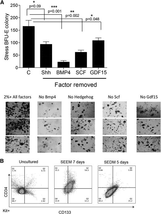 Figure 6. In vitro expansion of human stress erythroid progenitors. (A) Human unfractionated bone marrow cells were cultured in SEDM (indicated by C) or SEDM lacking the indicated factors for 5 days and plated in methylcellulose media containing Epo alone. Stress BFU-E colonies were scored after 12 days. Data are representative of 3 independent experiments using bone marrow from 3 different human donors. Below, representative pictures of BFU-E colonies are shown. Photos were taken with a Nikon ECLIPSE TE200 microscope at 4× magnification with the camera software DP2-BSW. (B) Flow cytometry analysis of untreated human bone marrow (left), after culture for 7 days in SEEM (middle), and after the cells were switched in SEDM (right). The cells were gated on KIT+, and the expression of CD34 and CD133 was analyzed.