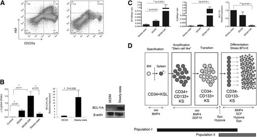 Figure 7. Human and murine stress BFU-Es express embryonic/fetal β-globin genes. (A) Flow cytometry analysis of HbF in CD235a+ cells in human bone marrow cells cultured in SEDM (left) or cultured in steady-state erythropoiesis media (Epo + SCF at 20% O2) (right). (B) qRT-PCR analysis of β- and γ-globin expression in human bone marrow cells prior to culture (control), cultured in SEDM for 5 days (SEDM), cultured in SEDM for 5 days, then switched to stress BFU-E media Epo + BMP4 + SCF at 2% O2 for 3 days (SEDM + Diff) or cultured in steady-state conditions (Epo + SCF at 20% O2) (left). Expression is expressed as a γ-globin to β-globin ratio. The expression of BCL11a (L/XL) mRNA and protein was examined by qRT-PCR analysis (center) and by western blot (left), respectively, in human bone marrow cells cultured in SEDM for 5 days or steady-state conditions. (C) The expression of murine embryonic β-globin genes βH1 (left) and εy (center) and Bcl11a (right) was examined by qRT-PCR in murine bone marrow cells cultured in SEDM for 5 days (SEDM) and SEDM for 5 days and then switched to stress BFU-E media Epo + BMP4 + SCF at 2% O2 for 3 days (SEDM + Diff) or cultured in steady-state conditions (Epo + SCF at 20% O2). Data are mean ± standard error of the mean. (D) Schematic of stress erythroid progenitor development.