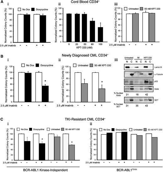 Figure 7. Inhibition of RAN/XPO1 impairs survival of CML but not normal CD34+ cord blood cells. (A) CD34+ cells from normal cord blood (n = 2) were either infected with doxycycline-inducible shRAN and plated in semisolid medium with and without 2.5 µM imatinib (i) or plated in semisolid medium in the presence or absence of graded concentrations of KPT-330 (ii-iii). Colonies were counted after 14 days. RAN inhibition had no effect on survival of normal CD34+ cord blood cells. (B) CD34+ cells from newly diagnosed CML patients were either infected with shRAN (i) or treated with KPT-330 (ii) and analyzed for colony formation in the indicated conditions. Inhibition of XPO1 by treatment with KPT-330 also resulted in enhanced levels of nuclear RAN, SET, and p53 in CD34+ cells from newly diagnosed CML patients. Lamin B was analyzed to control for nuclear fractionation and α-tubulin for cytoplasmic fractionation. (C) CD34+ cells from patients with clinical TKI resistance were either infected with shRAN or treated with KPT-330 and analyzed for colony-forming ability. shRAN and KPT-330 significantly reduced survival of CML CD34+ cells from TKI-resistant patients with wild-type BCR-ABL1 (i), but not from a patient with BCR-ABL1T315I (ii). Error bars represent SEM; *P < .05. Because only 1 BCR-ABL1T315I patient sample was analyzed, standard errors are not provided.