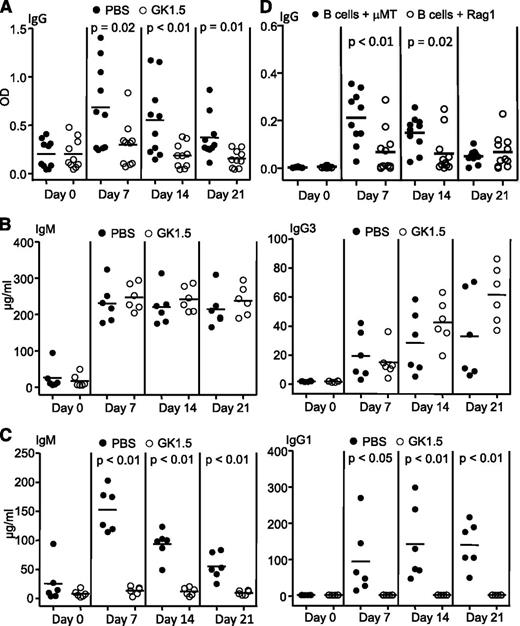 Figure 1. Requirement of T cells for production of PF4/heparin-specific antibodies. (A) Impaired production of PF4/heparin-specific antibodies in CD4 T-cell–depleted mice. Wild-type mice were treated with anti-mouse CD4 antibody GK1.5 or PBS, followed by immunization with PF4/heparin complexes. Sera were collected at the indicated time points after immunization and total PF4/heparin-specific IgG levels were measured by enzyme-linked immunosorbent assay (ELISA). Each dot represents a mouse and the horizontal lines indicate the mean values. Data shown are obtained from 10 mice in each group. (B) Normal T-cell–independent responses in CD4 T-cell–depleted mice. GK1.5- or PBS-treated mice were immunized with the T-cell–independent antigen TNP-Ficoll. Sera were collected at the indicated time points after immunization, and TNP-specific IgM (left) and IgG3 (right) were measured by ELISA. Data shown are obtained from 6 mice in each group. (C) Impaired T-cell–dependent responses in CD4 T-cell–depleted mice. GK1.5- or PBS-treated mice were immunized with the T-cell–dependent antigen NP-CGG. Sera were collected at the indicated time points after immunization, and NP-specific IgM (left) and IgG1 (right) were measured by ELISA. Data shown are obtained from 6 mice in each group. (D) Failure of adoptively transferred splenic B cells to produce PF4/heparin-specific antibodies in the absence of T cells. Splenic B cells isolated from wild-type mice were mixed with splenocytes isolated from μMT or Rag1-deficient mice at a 1:1 ratio, and then adoptively transferred into partially irradiated Rag1-deficient mice. The recipients were immunized with PF4/heparin complexes. Sera were collected at the indicated time points, and the levels of total PF4/heparin-specific IgG were measured by ELISA. Data shown are obtained from 10 recipients in each group. Each dot represents a mouse and the horizontal lines indicate the mean values.