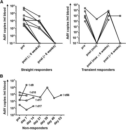 Figure 2. Virologic response after adoptive transfer of AdV-specific T cells for treatment of refractory AdV infection after allogeneic HSCT. ACT of hexon-specific T cells was performed in patients after allogeneic HSCT. The virologic response to ACT is shown in terms of viral copies in peripheral blood. Pre ACT refers to data analyzed before or at ACT. Patients are subdivided into 3 different groups according to the change of viral load after ACT: straight responders (n = 10) are defined as patients with a significant reduction of viremia (≥1 log) or clearance of the viral load after ACT, transient responders (n = 5) show a temporary decrease of viremia (≥1 log) or clearance of AdV with subsequent re-increase of the viral load thereafter, and nonresponders (n = 5) are patients with persistent or increasing levels of the viral load after ACT (detailed information on individual patients is provided in supplemental Data, supplemental Figure 2, and supplemental Table 2). qPCR results of <1000 copies per milliliter are represented as 1000 copies per milliliter in the figure. (A) The course of viremia after ACT for straight and transient responders. For transient responders, the minimum of AdV copies after ACT, the maximum of re-increasing AdV copies within the time period of 6 weeks after ACT, and the course of viremia in the time period >6 weeks after ACT are shown. Clearance of viremia after 6 weeks took place at a mean of 93 ± 37 days (range, 55 to 176 days). (B) Course of viremia in nonresponders. Time of death (days after ACT) of the different patients is indicated.