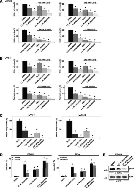 Figure 3. FLT3/BTK inhibitor combinations show additive effects. (A-B) Proliferation analysis of Molm13 and MV4-11 cells in the presence of quizartinib, ibrutinib, or DMSO. Results (from 4 independent experiments; mean ± SD) are shown for cells that had been treated for 3 days. *P < .05 between the different treatment groups compared with DMSO using Student t test. (C) Colony formation assays of MV4-11 and Molm13 cells in the presence of DMSO, ibrutinib, quizartinib, and ibrutinib/quizartinib. Results (mean ± SD) are from 4 independent experiments. *P < .05 between the different treatment groups compared with DMSO using Student t test. (D) FFM40 and FFM41 cells were exposed to quizartinib continuously (20 nM) or ibrutinib (1 µM) for 1 hour (followed by wash-out) in suspension culture or coculture with bone marrow stroma and analyzed for annexin V binding by flow cytometry. Results from 4 independent experiments. *P < .05 between the different treatment groups compared with the respective DMSO controls using Student t test. (E) Cleared cellular lysates of FFM40 cells derived from bone marrow stroma cocultures and treated as indicated were subjected to immunoblotting with antibodies against pERK (upper panel) and ERK (lower panel).