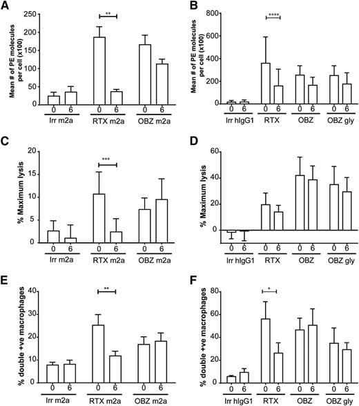 Figure 4. Impact of modulation on ADCC and ADCP effector mechanisms. (A-B) Surface levels of CD20 after incubation with type I and II mAbs. Target murine hCD20 (A) or primary human CLL (B) B cells were opsonized with 10 µg/mL anti-CD20 mAbs for 30 minutes or 6 hours; samples were then stained for 30 minutes with anti-mouse (A) or anti-human (B) Fc PE and assessed by a flow cytometer, using BD QuantiBRITE beads to calculate mean number of PE molecules/cell (N = 3). (C-D) Impact on ADCC, murine hCD20 (C), or primary human CLL (D) B cells were loaded with calcein-AM and incubated with anti-CD20 mAbs for either 30 minutes or 6 hours with 10 µg/mL anti-CD20 mAbs. Samples were then cocultured for either 2 hours with mNK cells (C) or 4 hours with human peripheral blood mononuclear cells (D) at an E:T ratio 10:1 and 50:1, respectively. Sample supernatant was assessed for fluorescence at 495 nm. (E-F) Impact on ADCP, murine hCD20 (E), or primary human CLL (F) B cells were stained with CFSE and incubated with 10 µg/mL anti-CD20 mAbs for either 30 minutes or 6 hours. Samples were then cocultured for 30 minutes with murine BMDMs (E) or 1 hour with human MDMs (F) and then assessed by flow cytometer. Statistical analyses were carried out using 2-way ANOVA with multiple comparisons and significance was accepted at *P < .05, **P < .01, ***P < .001, and ****P < .001.