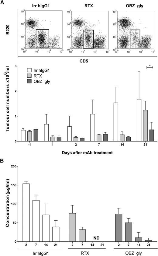 Figure 5. In vivo depletion of Eµ-TCL-1 × hCD20 Tg leukemic B cells using type I and II antibodies. (A) Eµ-TCL-1 × hCD20 Tg splenic tumors were administered intraperitoneally to hCD20 Tg mice and treated intravenously (250 μg) with anti-CD20 mAbs when CD5+ B220low tumor B cells were clearly detectable by flow cytometry 35 to 42 days later. The percentage of circulating tumor was then measured for the following 21 days (n = 3). Example dot-plots showing tumor cell populations on day 21 (tumor indicated in the boxed area) above, with mean numbers of tumor cells/mL below. Statistical analyses were carried out using 2-way ANOVA with multiple comparisons and significance was accepted at *P < .05. (B) The concentration of anti-CD20 mAbs in the sera of mice in panel A were determined by enzyme-linked immunosorbent assay. ND, not detectable. The results clearly show that RTX is completely lost from the sera by day 14, whereas OBZ gly remains detectable out to day 21, coincident with more prolonged tumor depletion. n = 3 mice per group. Bars represent mean ± standard deviation.