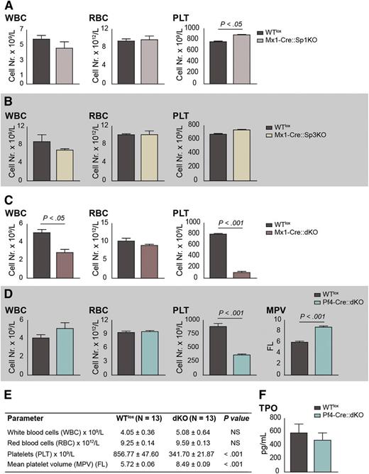Figure 1. Sp1::Sp3 dKO mice display macrothrombocytopenia with unaltered megakaryocyte/platelet mass. (A) Blood parameters of Mx1-Cre::Sp1KO and WTlox mice at 12 weeks of age and after poly IC treatment. (B) Blood parameters of Mx1-Cre::Sp3KO and WTlox mice at 12 weeks of age and after poly IC treatment. (C) Blood parameters of Mx1-Cre::dKO and WTlox mice at 12 weeks of age and after poly IC treatment. (D) Blood parameters of Pf4-Cre::dKO and WTlox mice at 12 weeks of age (n = 13). (E) Table summarizing the blood parameters of Pf4-Cre::dKO and WTlox mice corresponding to panel D. (F) TPO levels in plasma of dKO and WTlox mice (n = 13). MPV, mean platelet volume; PLT, platelets; RBC, red blood cell; WBC, white blood cell.