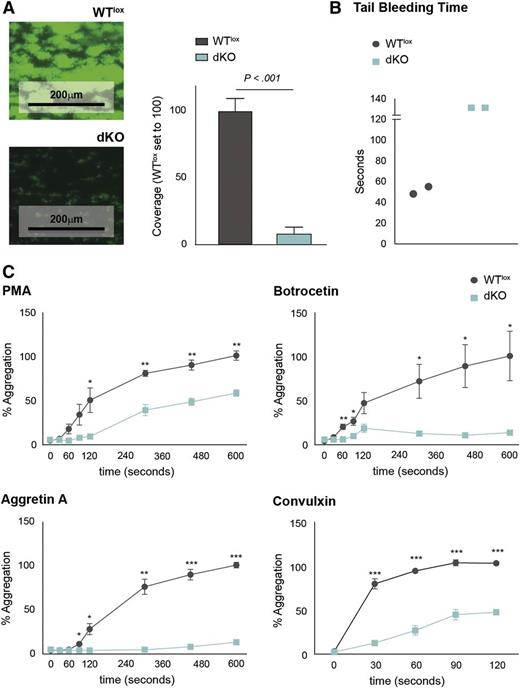 Figure 4. Platelets from dKO mice are dysfunctional. (A) Micrographs of collagen-coated slides after perfusion of WTlox and dKO reconstituted blood containing the same number of platelets (left). The average coverage measured as green fluorescence over the total surface was quantitated with ImageJ software. (B) Tail bleeding time of WTlox and dKO mice is depicted. (C) FCA shows the aggregation capacity of platelets when stimulated with different agonists. *P < .05; **P < .01; ***P < .001.