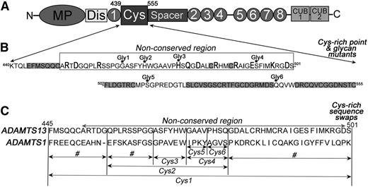 Figure 1. Cys-rich domain amino acid sequence and sites of mutagenesis. (A) Domain organization of ADAMTS13. The Cys-rich domain comprises amino acids Lys440-Cys555. (B) The amino acids sequence of the Cys-rich domain contains a region that is highly conserved among ADAMTS family members (highlighted in gray) and a nonconserved region (indicated). In the nonconserved region, charged amino acids were individually mutated to alanine (bold and larger font). Amino acids that were mutated to asparagine for the introduction of an NXT glycosylation motif are indicated (Gly1-6). See supplemental Figure 2 for the location of each variant on a model of ADAMTS13. (C) Cys-rich domain sequence swap variants were generated by substitution of selected sequences for the corresponding sequence in ADAMTS1. Variants named Cys1-6 were used for functional analysis. Those swap variants labeled # were generated and expressed, but not secreted.