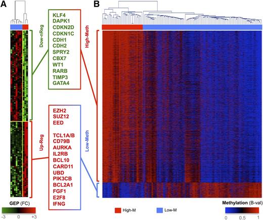 Figure 2. Integration of methylation profiling and gene expression. Hierarchical clustering (Euclidean distance, complete linkage method) of genes with FDR <0.05 in either limma Student t test comparing High-M vs Low-M for GE (A) and methylation (B) profiling. Red and blue represent higher and lower methylation (heat map on the right), respectively, and red and green represent high- and low-level expression (heat map on the left), respectively.